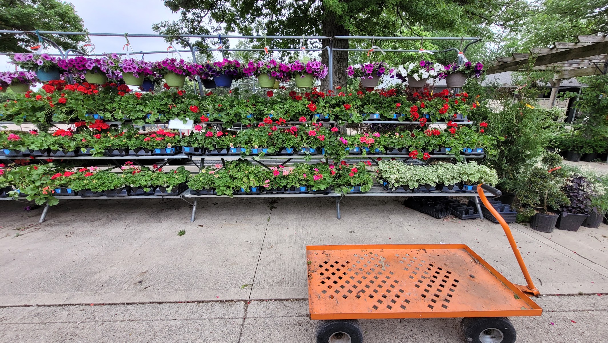 Scott's Garden Center