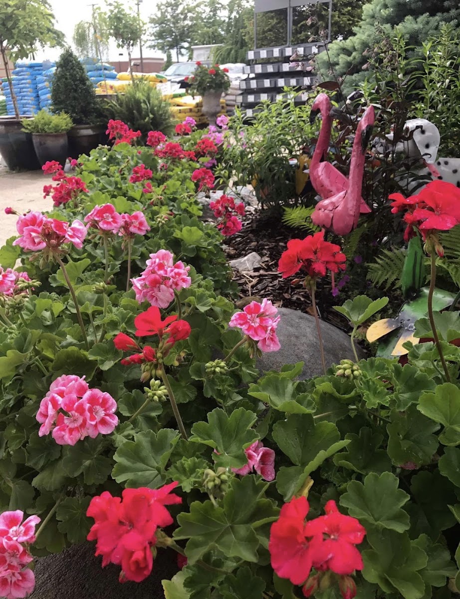 Scott's Garden Center