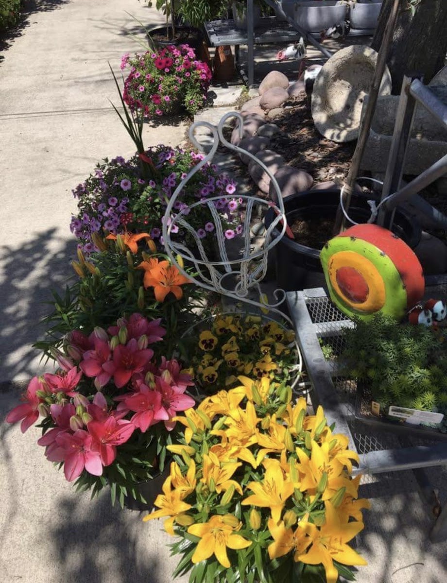Scott's Garden Center