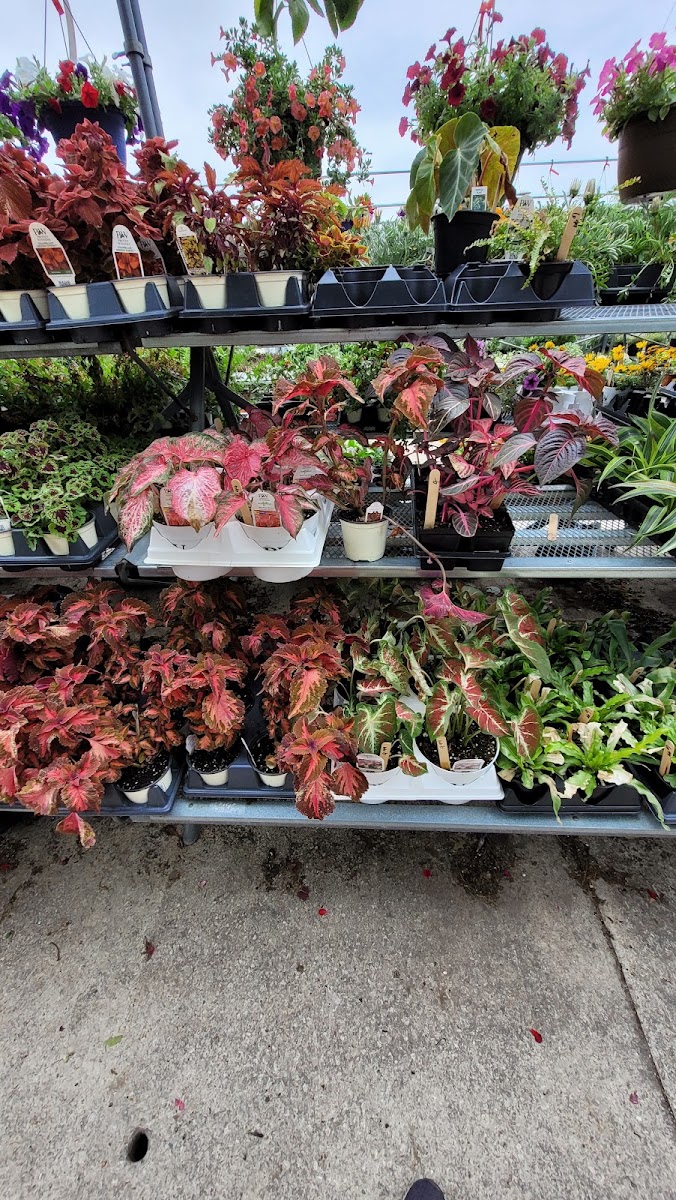 Scott's Garden Center